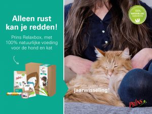 Prins Relaxbox